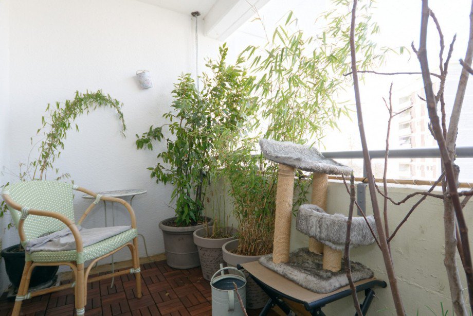 Loggia Dachgeschosswohnung Heidelberg